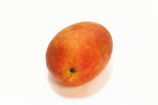 Photo, plant, fruit, fruits, 