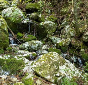 川の上流 川,小川,上流の写真素材