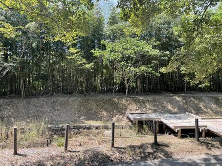 龍ノ口グリーンシャワーの森(岡山県) 龍ノ口グリーンシャワーの森(岡山県)の写真