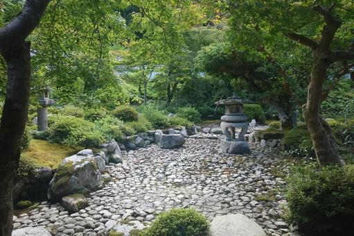 大阪府-金剛寺-本坊-枯山水庭園 大阪府-金剛寺-本坊-枯山水庭園 金剛寺,寺,天野山の写真素材