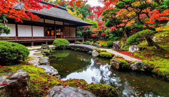 秋の紅葉が美しい日本庭園 秋の紅葉が美しい日本庭園の写真
