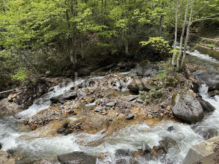 尾瀬登山中の景色 尾瀬,自然,景色の写真素材