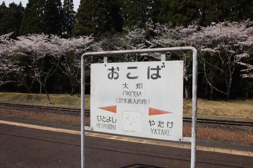 Photo, ohata station, line, cherry blossoms, 
