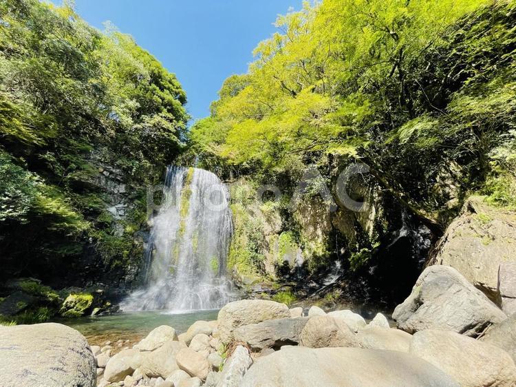 森の中の滝 自然,背景,滝の写真素材