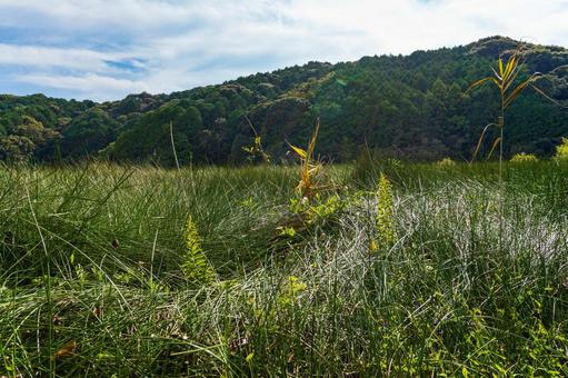 静岡県磐田市の鶴ケ池 10月秋の池の景色 静岡県磐田市の鶴ケ池 10月秋の池の景色 日本,静岡県,磐田市の写真素材