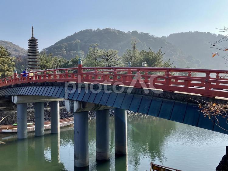 朝の喜撰橋〜宇治川〜 宇治,宇治川,旅の写真素材