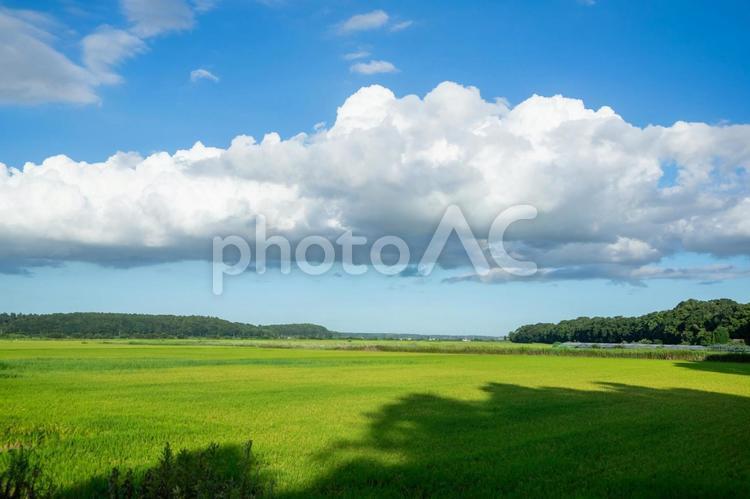 田園風景 田園風景,田舎,晴天の写真素材