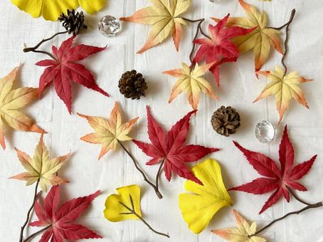 紅葉と松ぼっくりで秋のイメージの壁紙(横 紅葉と松ぼっくりで秋のイメージの壁紙(横 秋,壁紙,コピースペースの写真素材