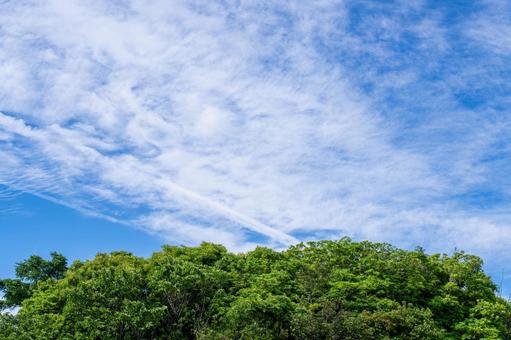 青空と白い雲 青空と白い雲の写真