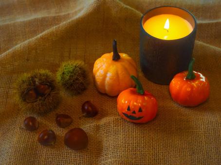 ハロウィン、南瓜、キャンドル、栗、毬栗 ハロウィン、南瓜、キャンドル、栗、毬栗 ハロウィン,秋,ディスプレイの写真素材