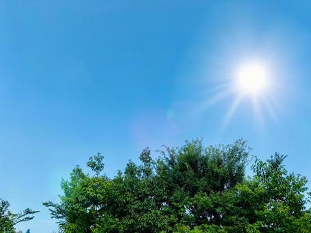 太陽と青空 太陽と青空 空,青空,晴れの写真素材
