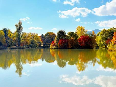 紅葉 札幌 中島公園9 中島公園,紅葉,池の写真素材