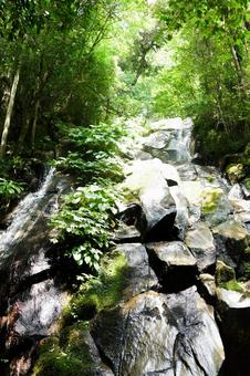 苔むした岩と木漏れ日の渓谷 渓谷,渓流,滝の写真素材
