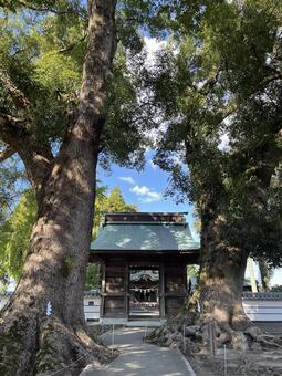 溝口竈門神社 参道,パワースポット,参拝の写真素材