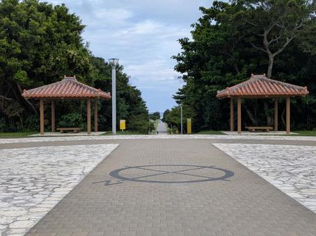 公園 公園の写真