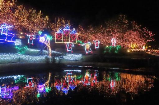 イルミネーションの写真