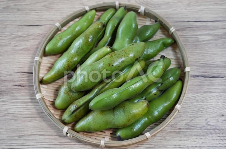 朝どれの鮮やかな緑色のそら豆 そら豆,野菜,一寸豆の写真素材
