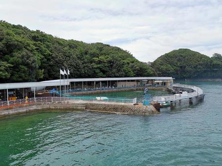 鳥羽 伊勢湾クルーズ イルカ島 鳥羽 伊勢湾クルーズ イルカ島 鳥羽,伊勢湾,クルーズの写真素材