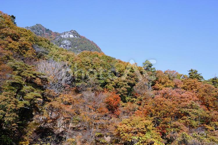 秋の山の風景と青空 山,紅葉,木々の写真素材