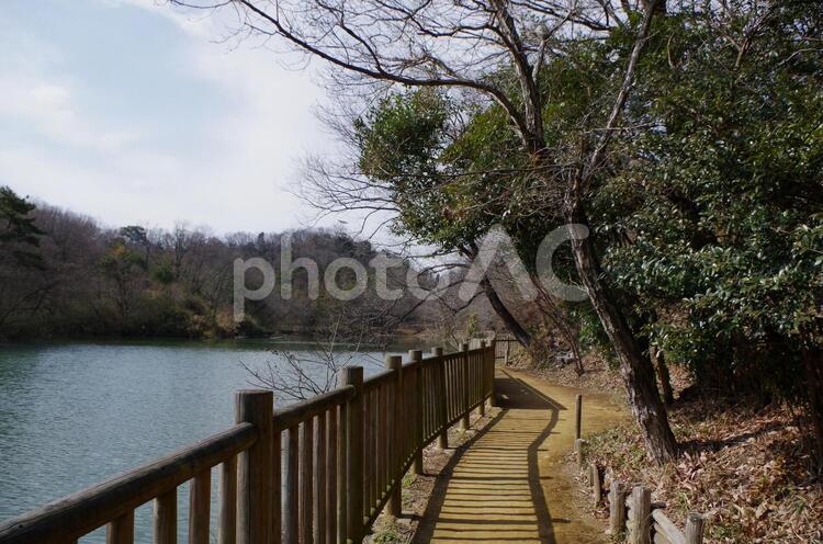 公園の風景 2月,日本,柵の写真素材