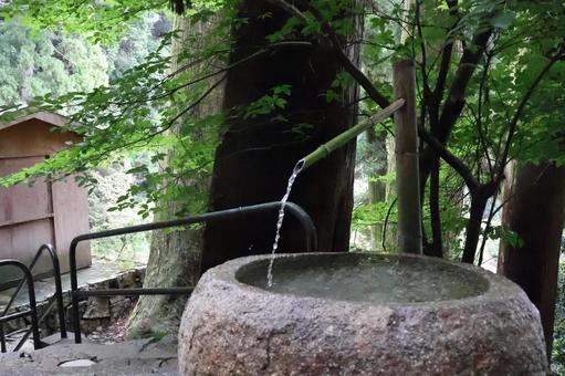 手水舎 手水舎の写真