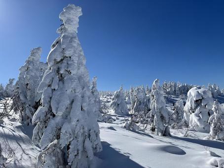 冬のモンスター樹氷その2 樹氷,モンスター,冬の写真素材