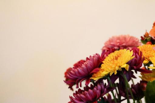 オレンジとピンク系の花(ヨコ) オレンジとピンク系の花(ヨコ) 花,ブーケ,フラワーアレンジメントの写真素材