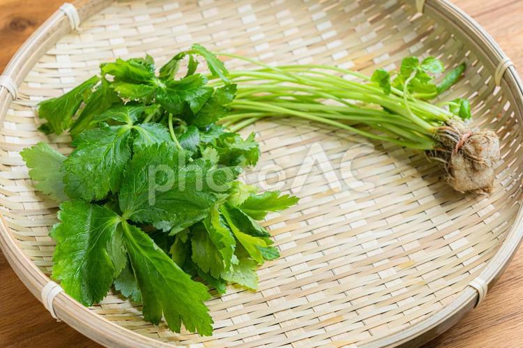 竹ざるに盛られたみつば みつば,葉物野菜,野菜の写真素材