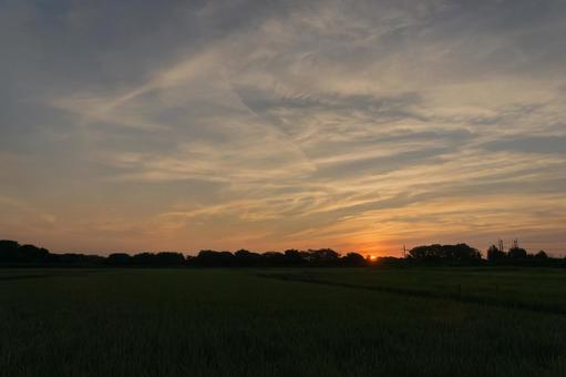 Summer sunrise, JPG