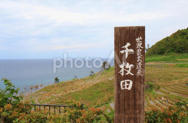 石川県能登の千枚田 千枚田,田,田んぼの写真素材