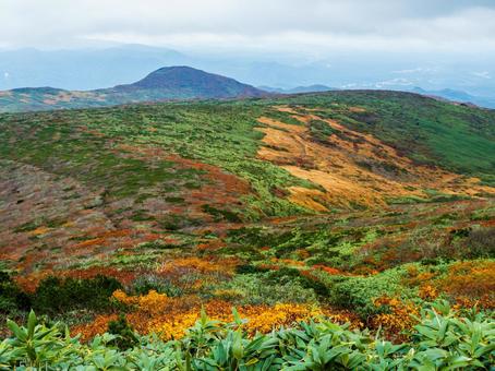 紅葉の栗駒山(須川岳) 紅葉の栗駒山(須川岳)の写真