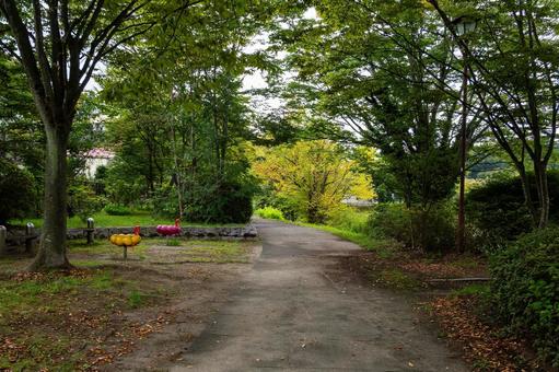 天沼公園の風景⑿ 公園,天沼公園,木々の写真素材