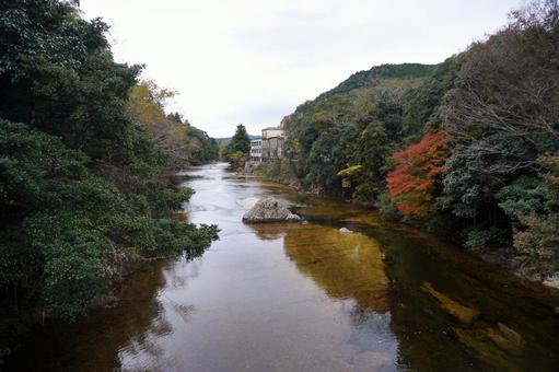 紅葉が始まった渓谷の穏やかな流れ 渓谷,川,紅葉の写真素材