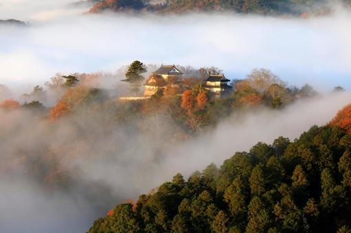 天空の城 天空の城 天空の城,天空の山城,備中松山城の写真素材