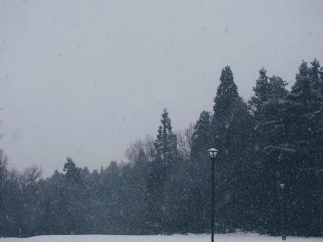 冬の公園　しんしんと降る雪	 冬,雪,寒いの写真素材
