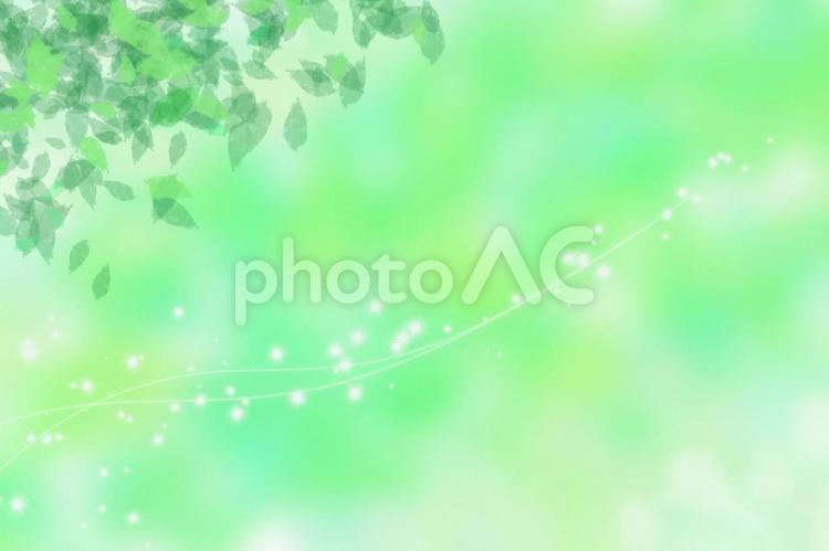 爽やかな新緑の背景素材 背景,素材,背景素材の写真素材