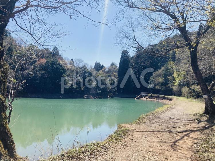 犬山市の大洞池 大洞池,犬山市,観光の写真素材