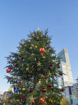 青空に映える聖夜の彩り クリスマスツリー,冬,青空の写真素材