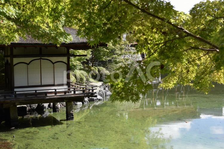 和歌山城公園　鳶魚閣 和歌山城公園,和歌山城,和歌山県の写真素材
