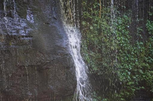 ナベガタキ 鍋ヶ滝,滝,木の写真素材
