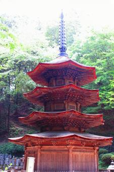 長野県-安楽寺-国宝-八角三重塔 長野県-安楽寺-国宝-八角三重塔の写真