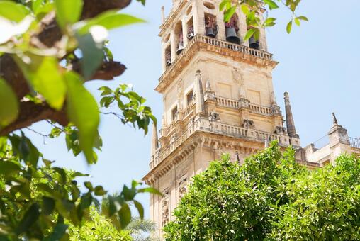 スペインの風景 スペイン,風景,塔の写真素材