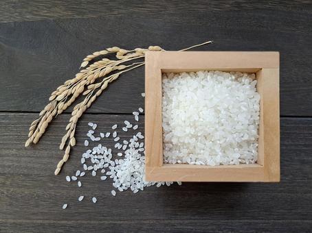 お米と稲穂_焦茶木目バック_7 お米と稲穂_焦茶木目バック_7 秋,秋の味覚,新米の写真素材