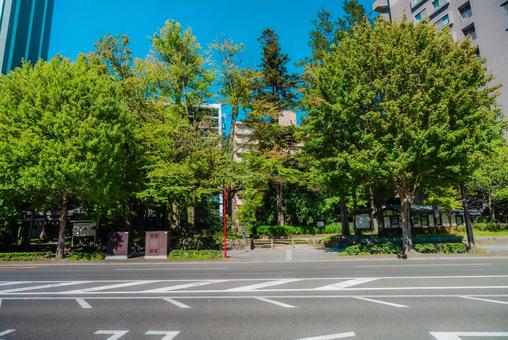 【宮城】仙台の風景 仙台,宮城,街並みの写真素材