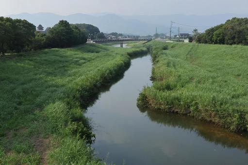 田手川 田手川 田手川,川,河川の写真素材