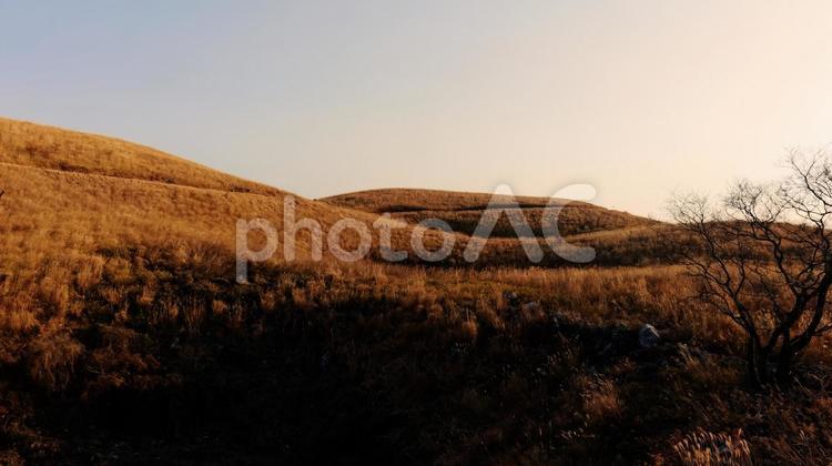 夕暮れの丘 たそがれ,風景,屋外での写真素材