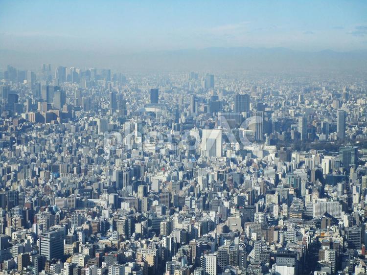東京都心（上空から新宿方面を臨む） 都心,東京,ビルの写真素材
