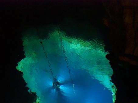 龍泉洞の中 龍泉洞の中 龍泉洞,洞窟,鍾乳洞の写真素材