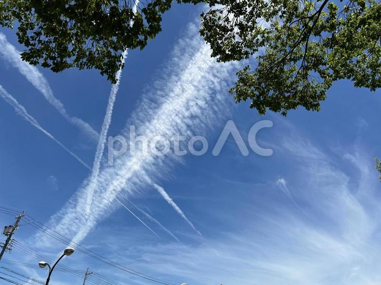 重なるひこうき雲 空,晴天,屋外での写真素材