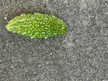 美しいゴーヤ コピースペース 美しいゴーヤ コピースペース ゴーヤ,野菜,春の写真素材